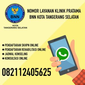 Alur Layanan Rehabilitasi dan SKHPN Secara Online